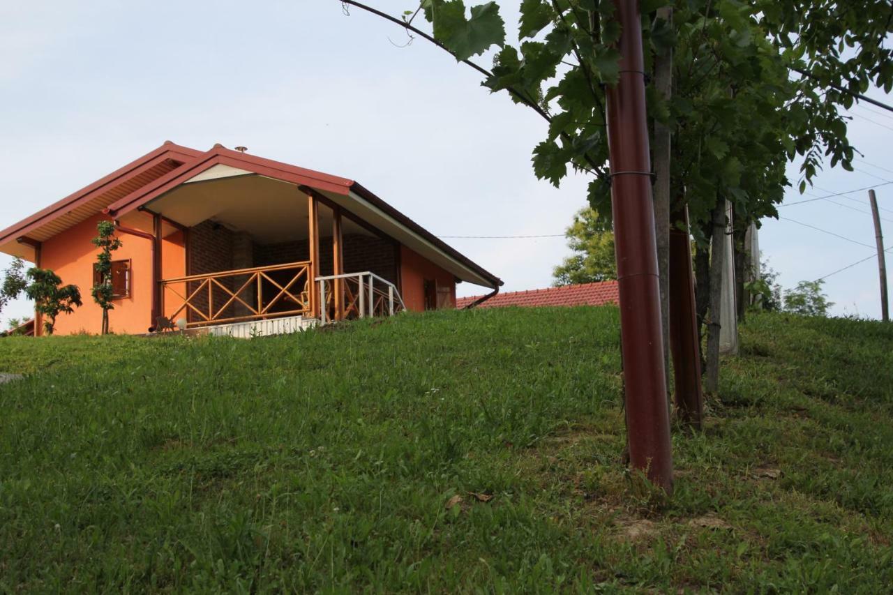 Вилла Kuca Za Odmor "Nedeljko"/ Holliday Hause "Nedeljko" Свети-Мартин-на-Мору Экстерьер фото